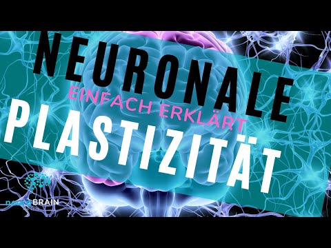 NEURONALE PLASTIZITÄT - Erklärvideo