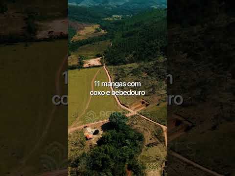Vende-se Fazenda em São Sebastião do Maranhão – MG