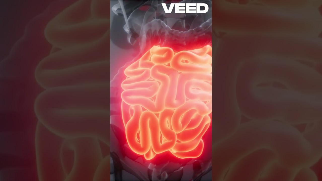 Entenda a Anatomia do Sistema Digestivo!  #saúde #curiosidades #anatomia