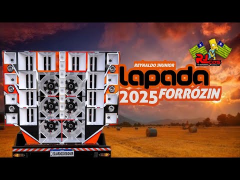 LAPADA DE FORRÓZIN - PRA CURTIR EM 2025 - REYNALDO JHUNIOR - FORROZIN AGONIADO PRA TOCAR  VAQUEJADA