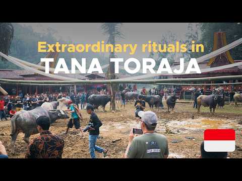 Where death is a celebration: the unique Toraja culture in Indonesia