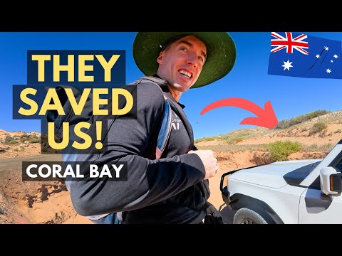 They Came to Rescue! Unreal First Time Snorkeling at Coral Bay (Ningaloo Reef, Australia) 🇦🇺