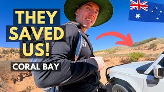 They Came to Rescue! Unreal First Time Snorkeling at Coral Bay (Ningaloo Reef, Australia) 🇦🇺