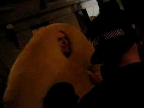 Jelly Donut Battles Lady Sovereign (proxy)