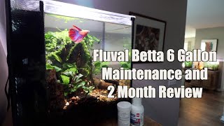 Fluval Betta Kit Review