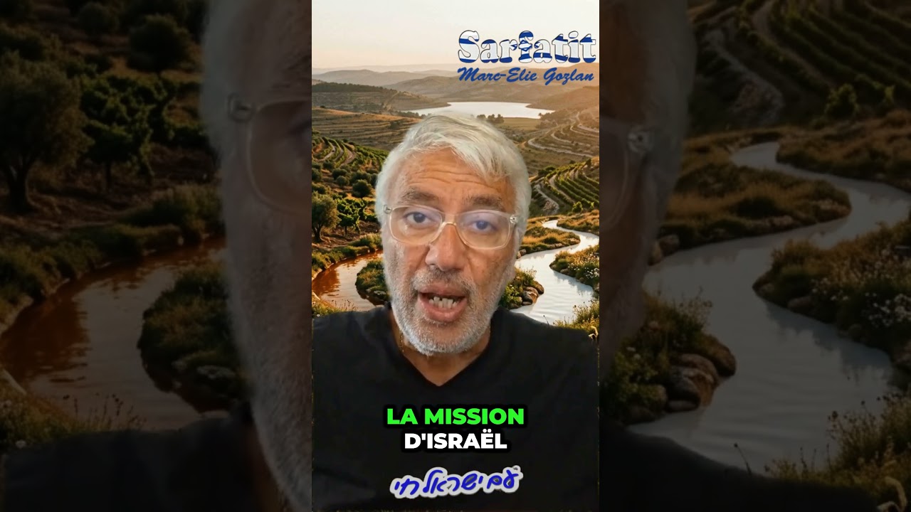 YouTube video 6