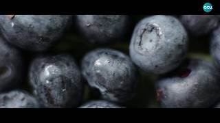 El mejor tinto de la Guía de Vinos de 2018