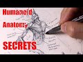 How To Draw A Humanoid Torso Believable Anatomy For Creature Artists