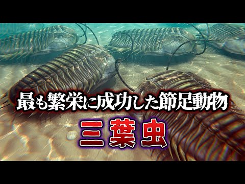 ヒルガオオオスカシバ