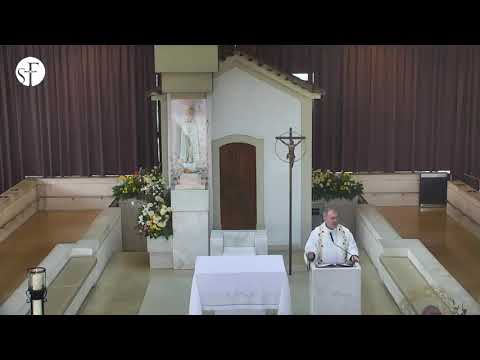 Domingo, 15 de Fevereiro de 2026  14:00Hora de reparação ao Imaculado Coração de Maria,