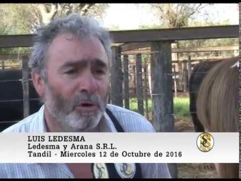 12-10-16 - Luis Ledesma - Ledesma y Arana S.R.L. - Tandil