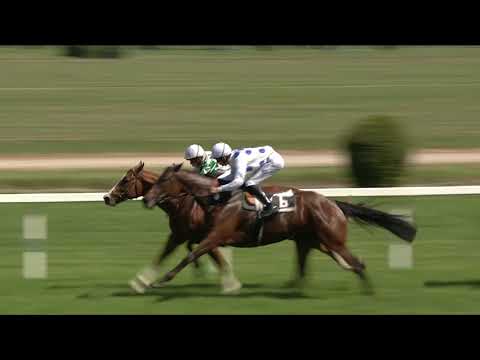 CH, 13. 5. 2018, 3. dostih - CENA PRAŽSKÉ PLYNÁRENSKÉ DISTRIBUCE