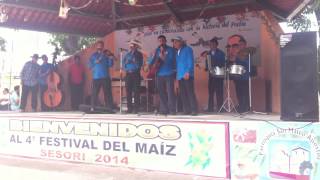 preview picture of video 'Amantes de la cumbia en el festival del maiz sesori'