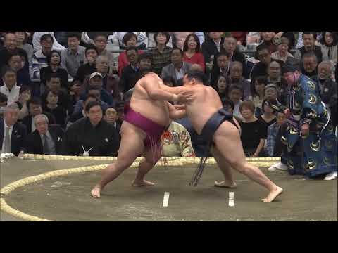 Sumo Wrestling Giants • Super Strong Sumo Wrestler
