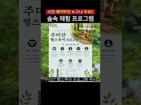 힐링과 치유: 공주치유숲과 주미산 헬스투어의 무료 힐링 프로그램