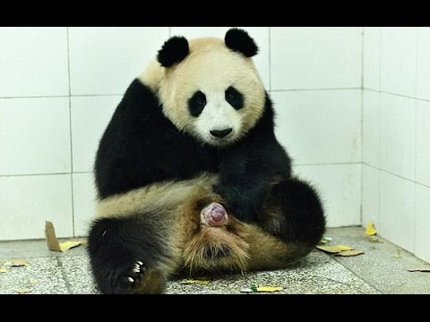 Kases Sky - Hip Hop Remix Deutschrap Music Video