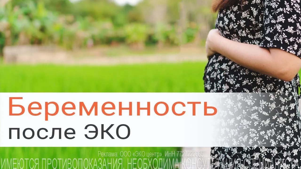 Беременность после первого эко. Эко беременность. Ведение беременности после эко книги. Ведение беременности после эко Казань. Что такое эко беременность простыми словами.