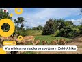 Je kunt nu online meespeuren naar stropers