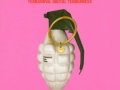 Terranova - Back in Time