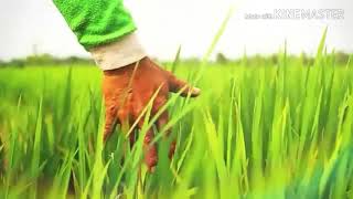 Download lagu STATION ID ESA TV BENGKULU (2017) mp3 Download lagu STATION ID ESA TV BENGKULU (2017) mp3