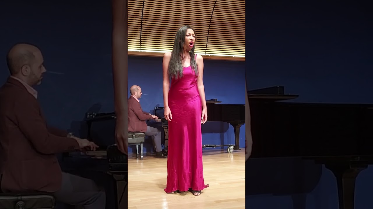 Promotional video thumbnail 2 for Professional Singer