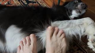 Stacey and Brett Valentine 2019 Coldest Night of the Year