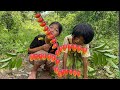 Part 16 Survival Skills SMART Ideas And USEFUL In Forest With Single Mom Jungle Life