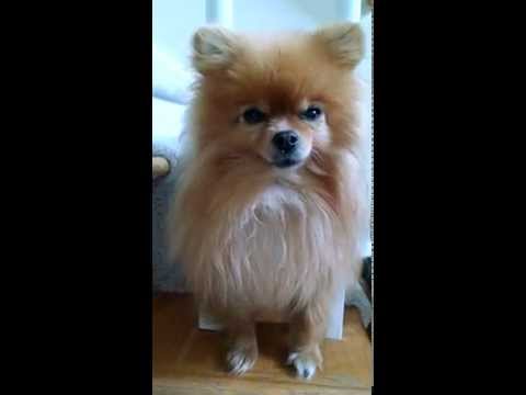 VID 20150906 151641982