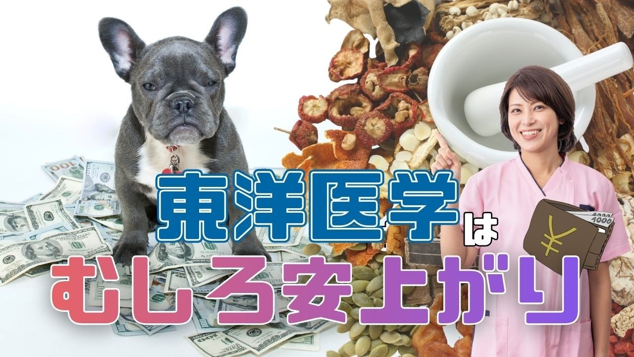 東洋医学は、むしろ安上がりです。