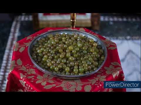 Живот у манастиру Хиландару