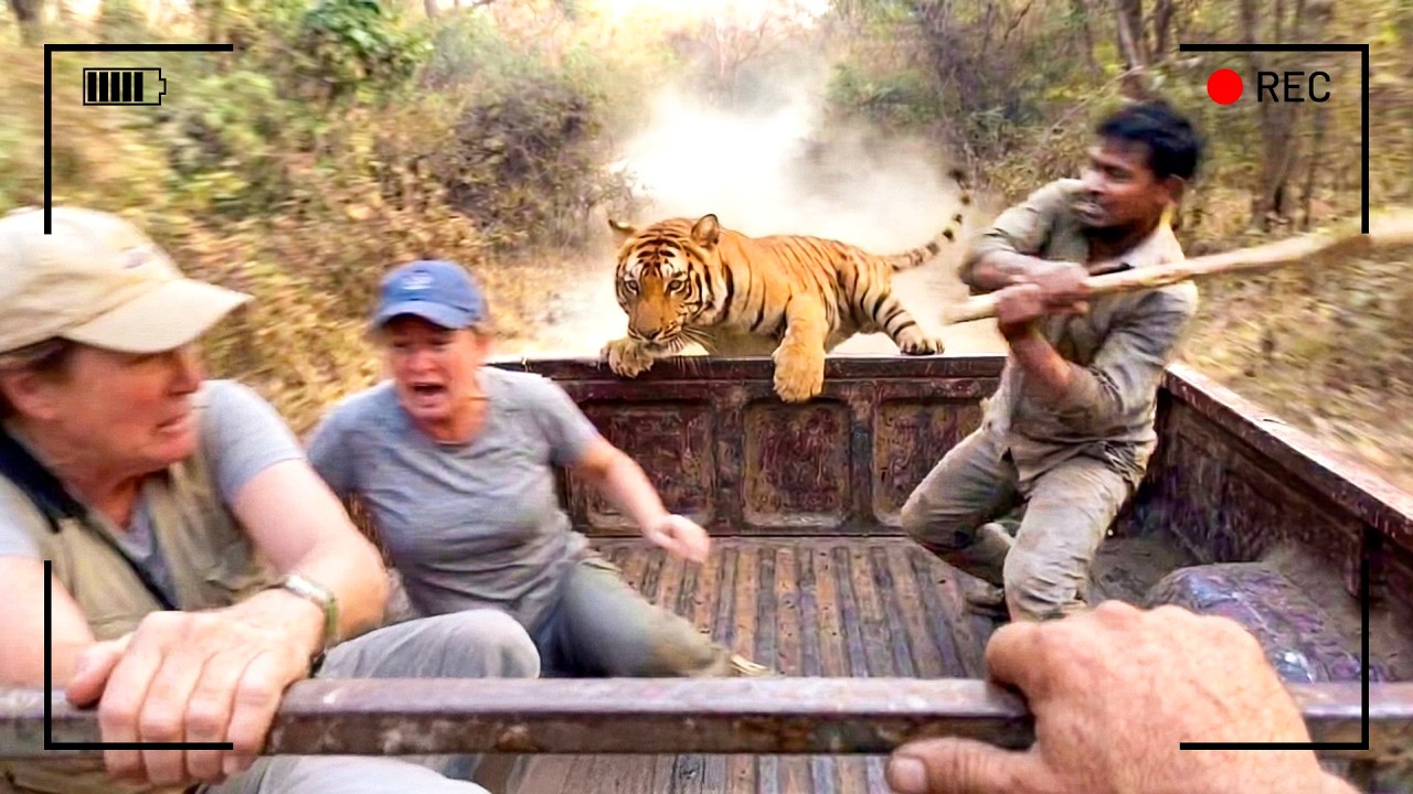 رحلة إلى المحمية الطبيعية انتهت بكارثة لم يتوقعها أحد