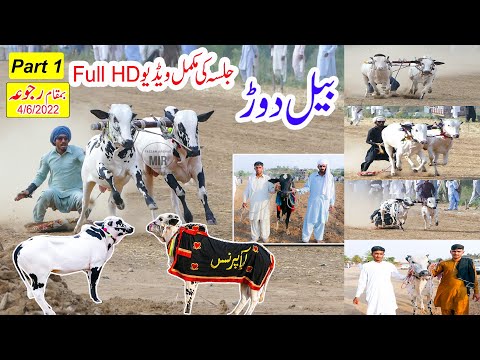 Rajowa Jalsa بیل دوڑ رجوعہ 4/6/2022 | Part 1 | Bull Race 2022 | Bull Race | Bull Race in Pakistan