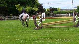 Fernhill Ambassador - 2* SJ