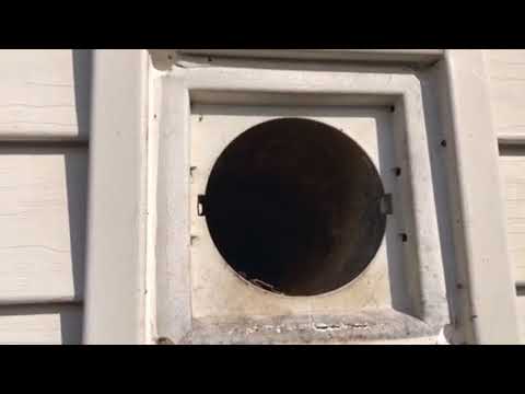 Starlings Not Welcome in the Home in Englishtown, NJ