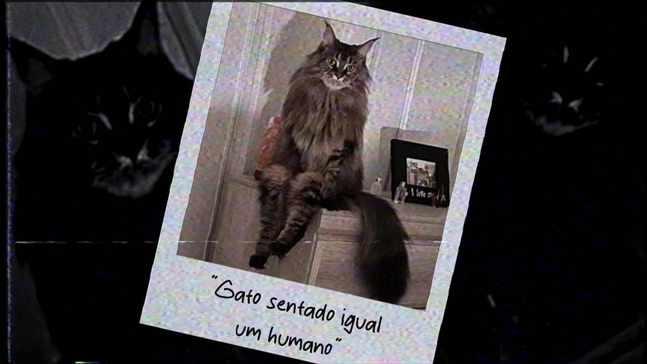 ESSA FOTO ESCONDE UMA HISTÓRIA MACABRA 💀