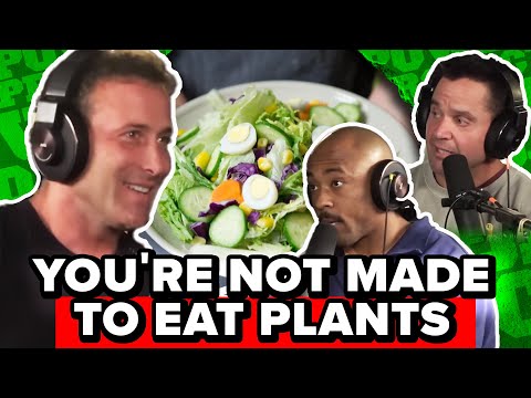 Carnivore Diet Deep Dive: Optimal Nutrition | Dr. Anthony Chaffee