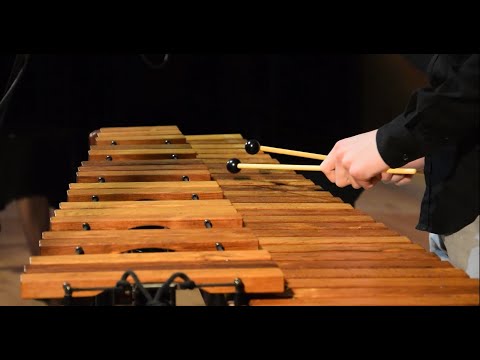 D. Kabalevsky - Comedians' Galop (Antoni Szuman - xylophone)