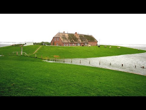 Land unter auf Hallig Gröde am 19 September 2023