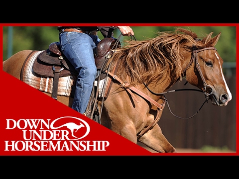 Clinton Anderson: Perfecting the Posse, Part 6 - Downunder Horsemanship