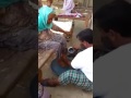 Maa Ke Kadmo Ke Neeche Jannat Hai