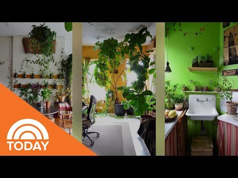 New York City Apartment With More Than 600 Plants | TODAY