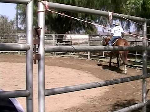 Clue Dun It - Part 2