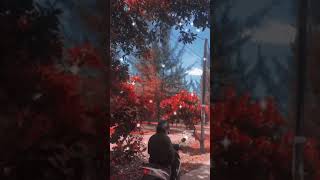 Download lagu Selamat pagi dunia tipu tipu (story wa) mp3 Download lagu Selamat pagi dunia tipu tipu (story wa) mp3