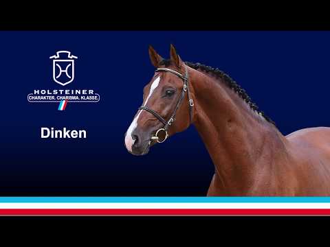 Die Verbandshengste 2020 - Dinken v. Diarado-Cassini I