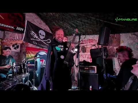 GA-GA / ZIELONE ŻABKI - KONCERT