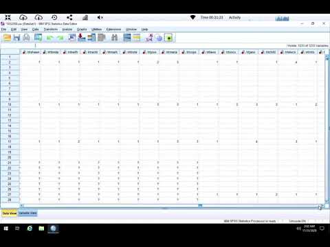 Spss Recoding Variables 2
