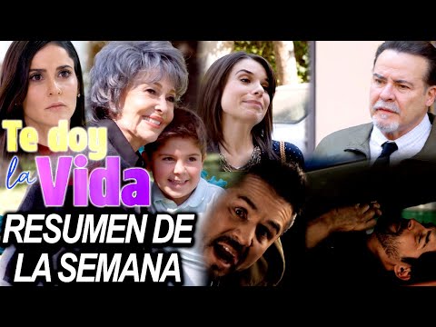 Grandes momentos de "Te doy la vida": Nelson supo el secreto de Gina y Jimmy intentó matar a Pedro