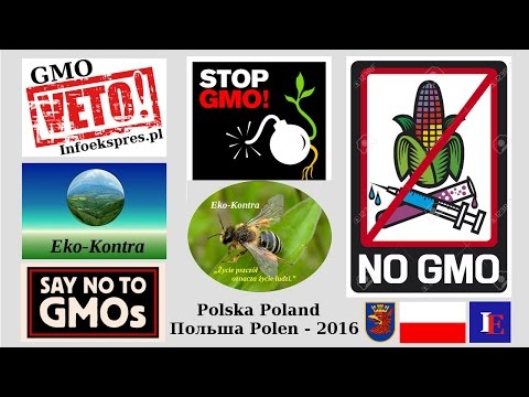Co śni wpadać na piechotę Narzędzia z kamienia na palucha kupić
