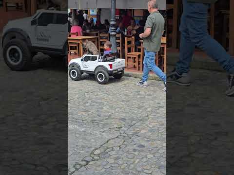 Only in Guatapé Colombia! 🐶🚗