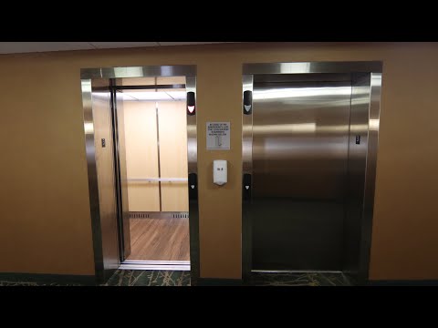 Steps, Schindler 330A Elevators and a peek at a room at the Wingate Hotel Elkins WV